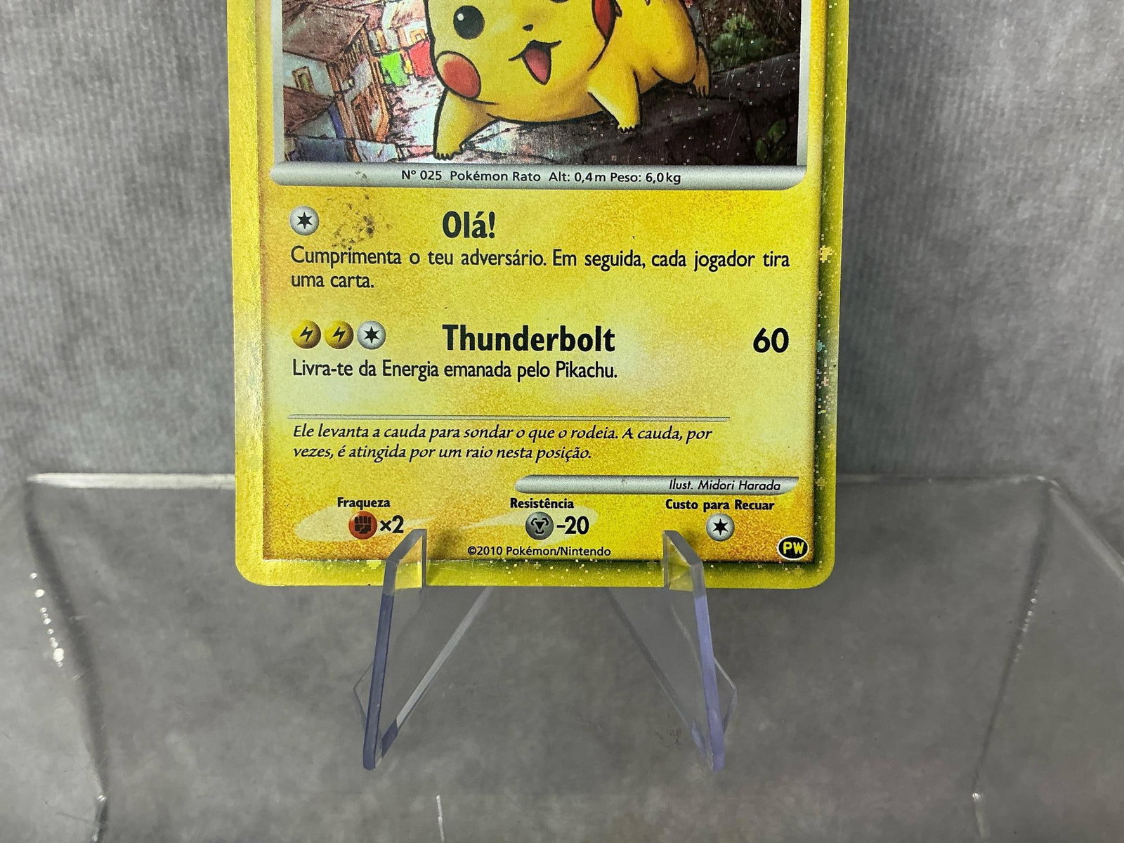 Portuguese Pikachu - 3