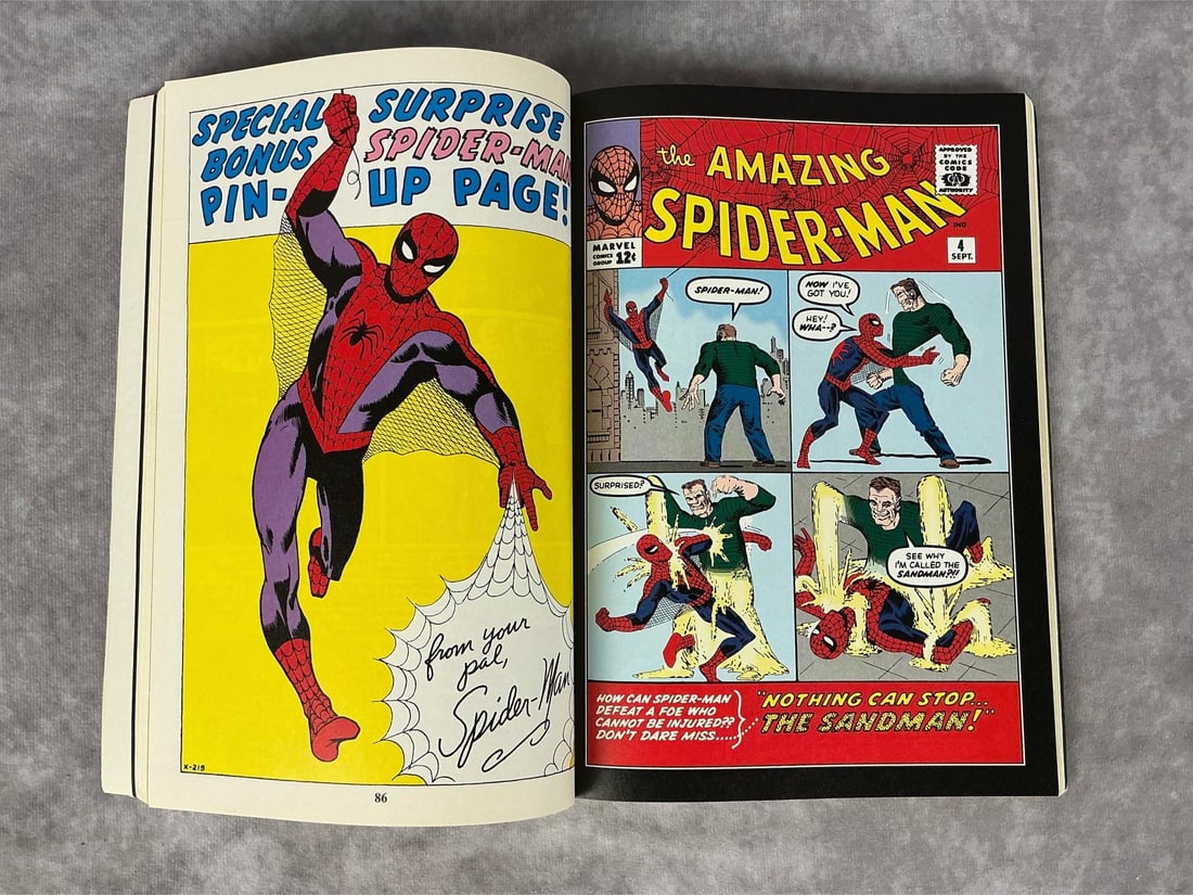 The Amazing Spider-Man - 6