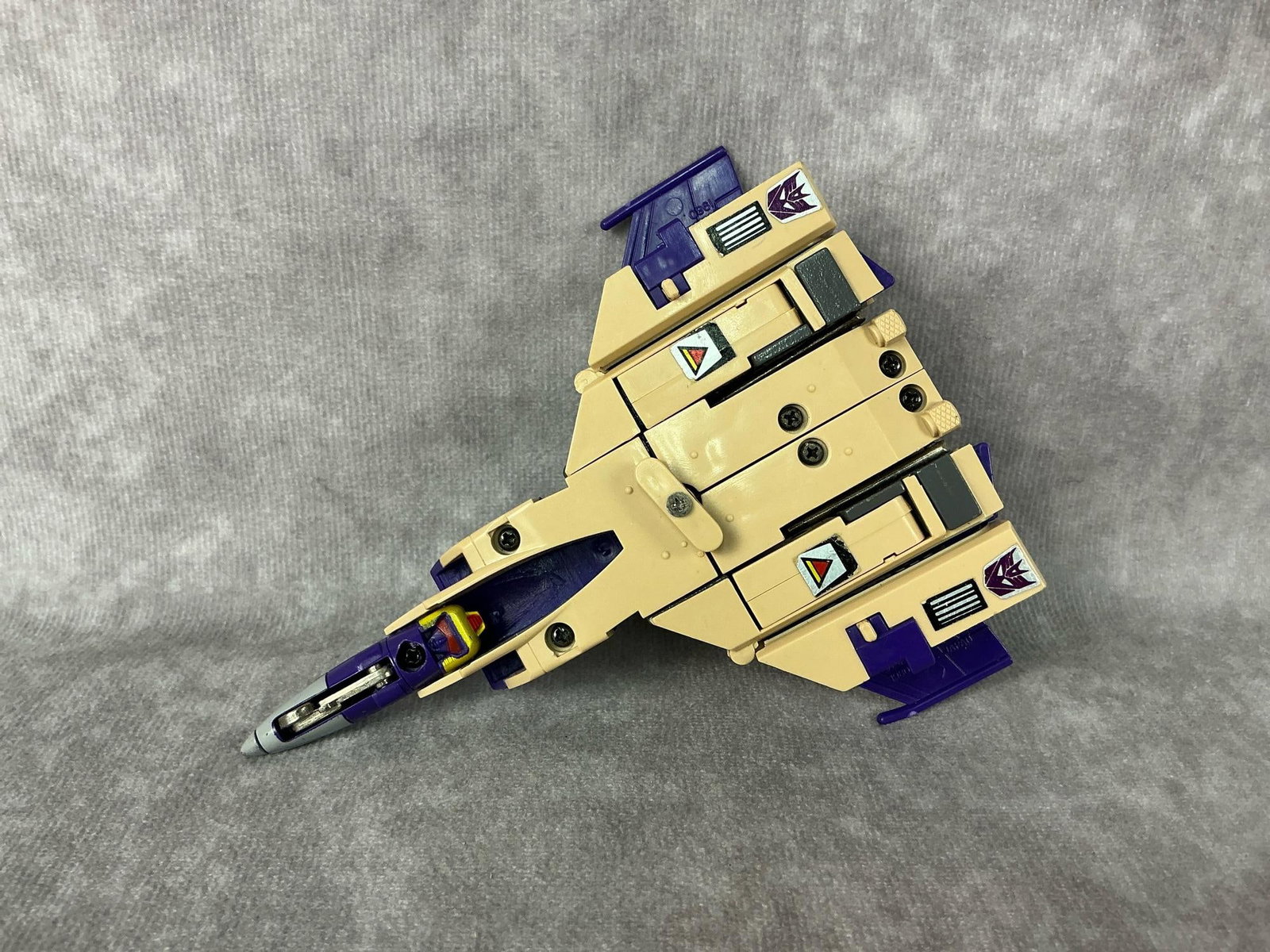 Decepticons Insecticons - 10