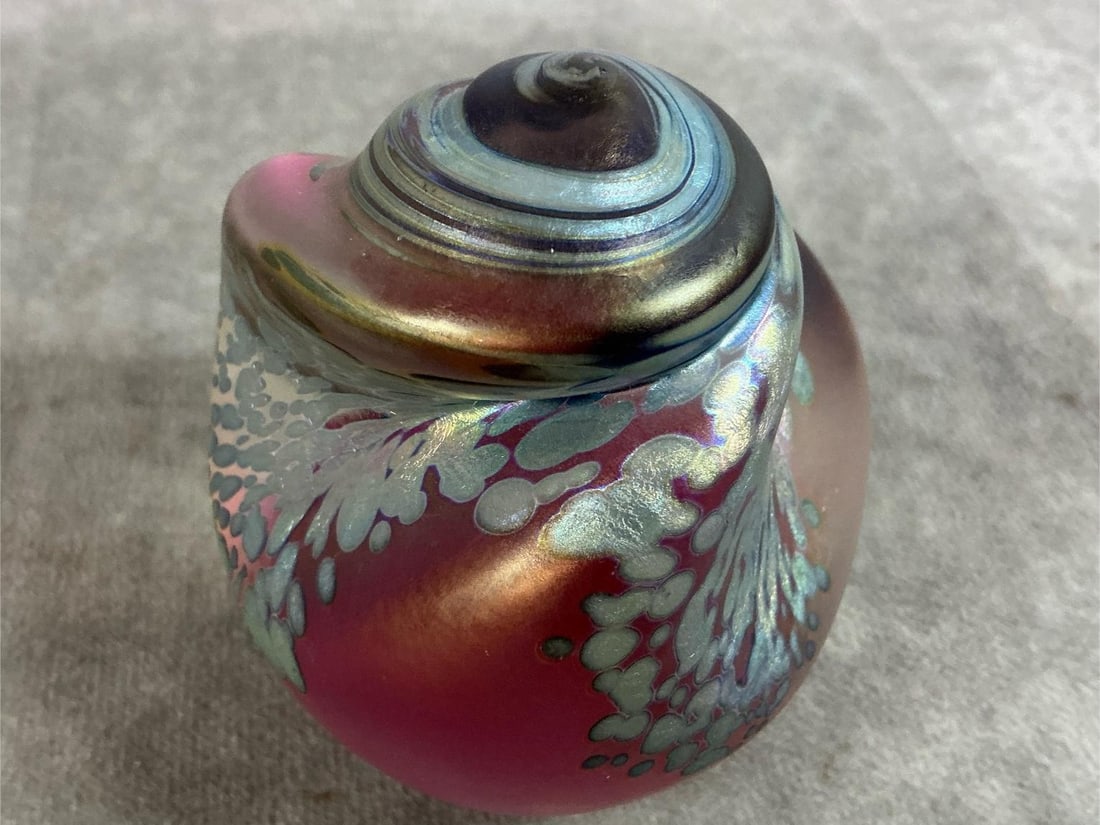 Maytum Shell Paperweight - 3