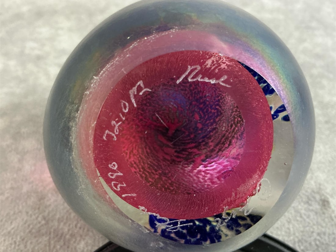 Maytum Shell Paperweight - 4