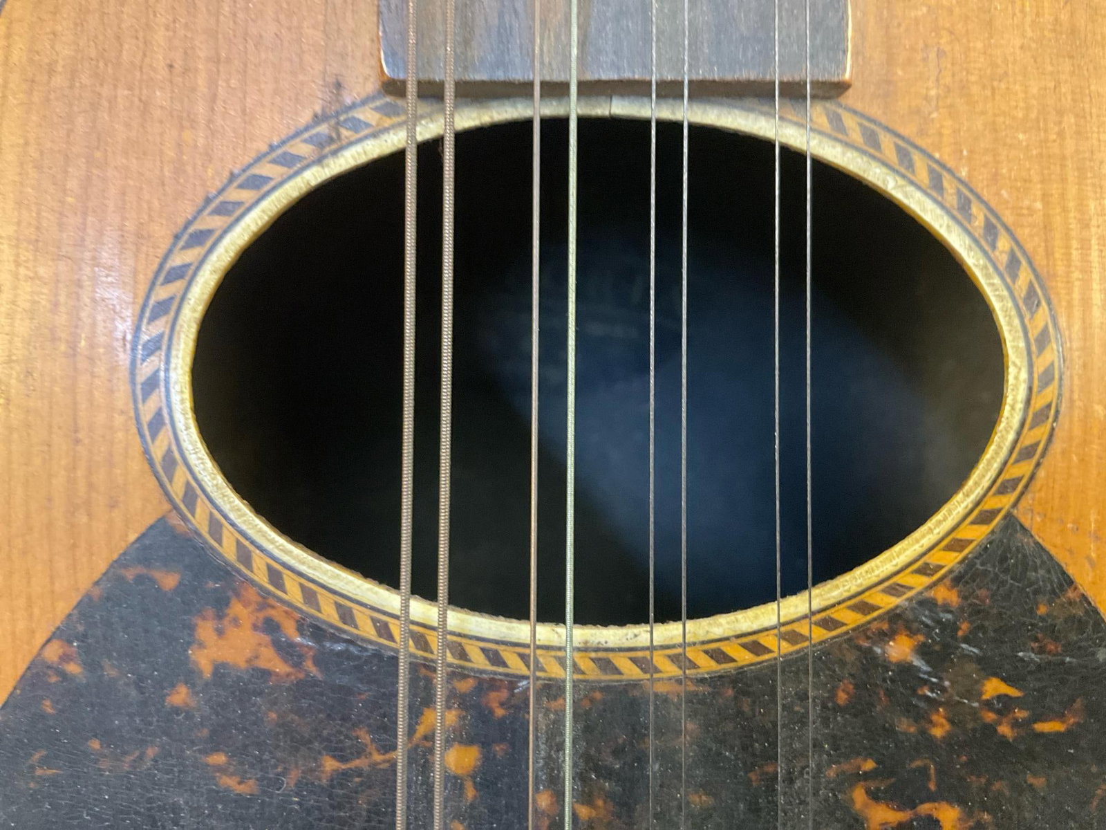 Antique Mandolin - 10