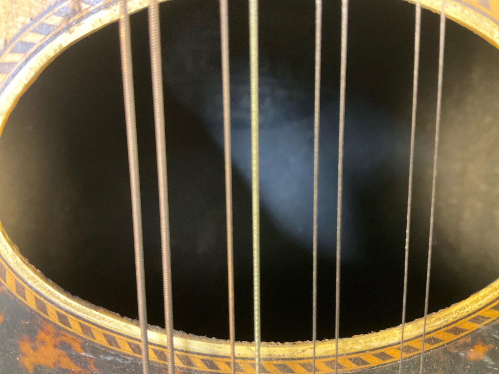 Antique Mandolin - 3