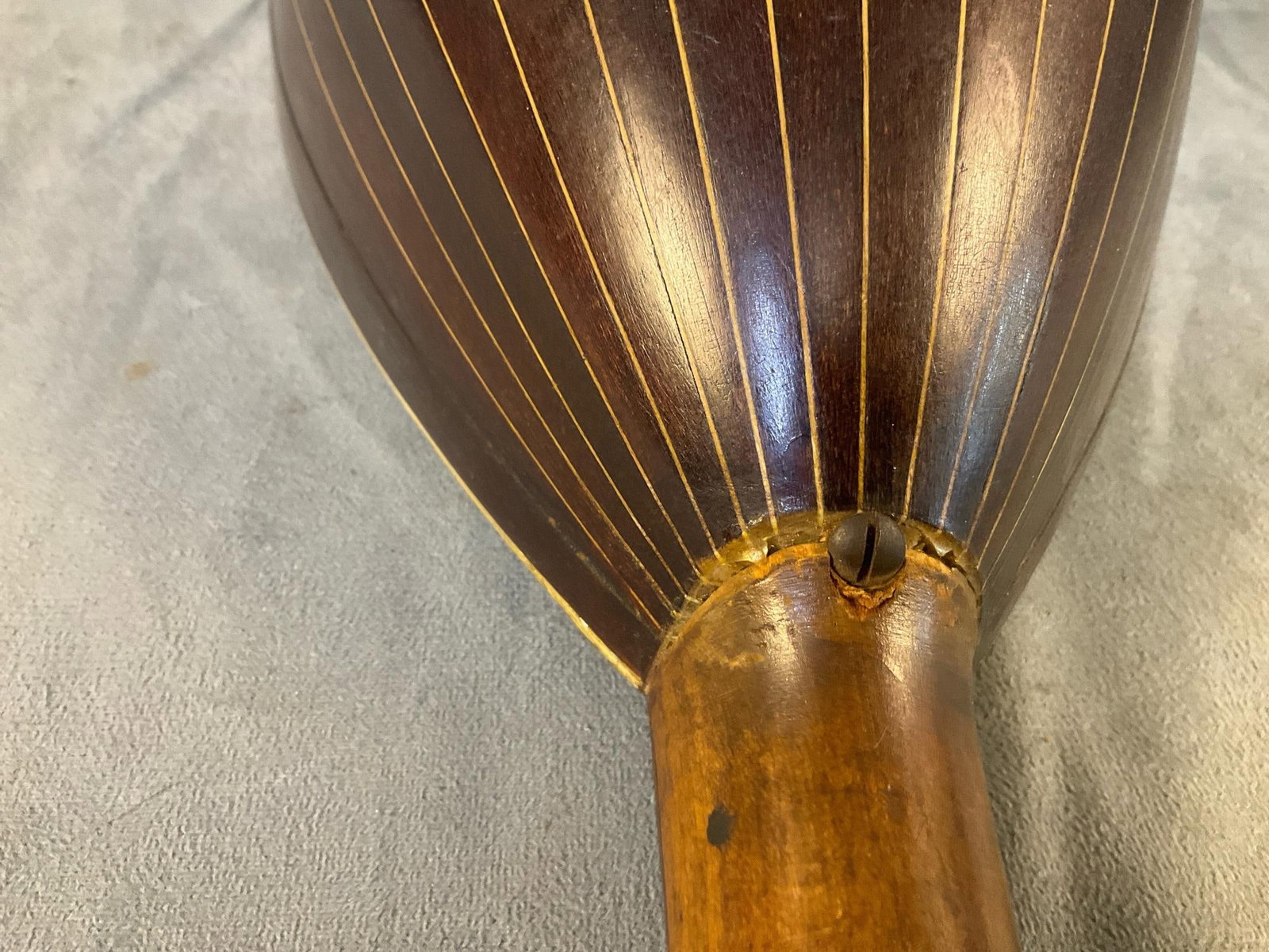 Antique Mandolin - 9