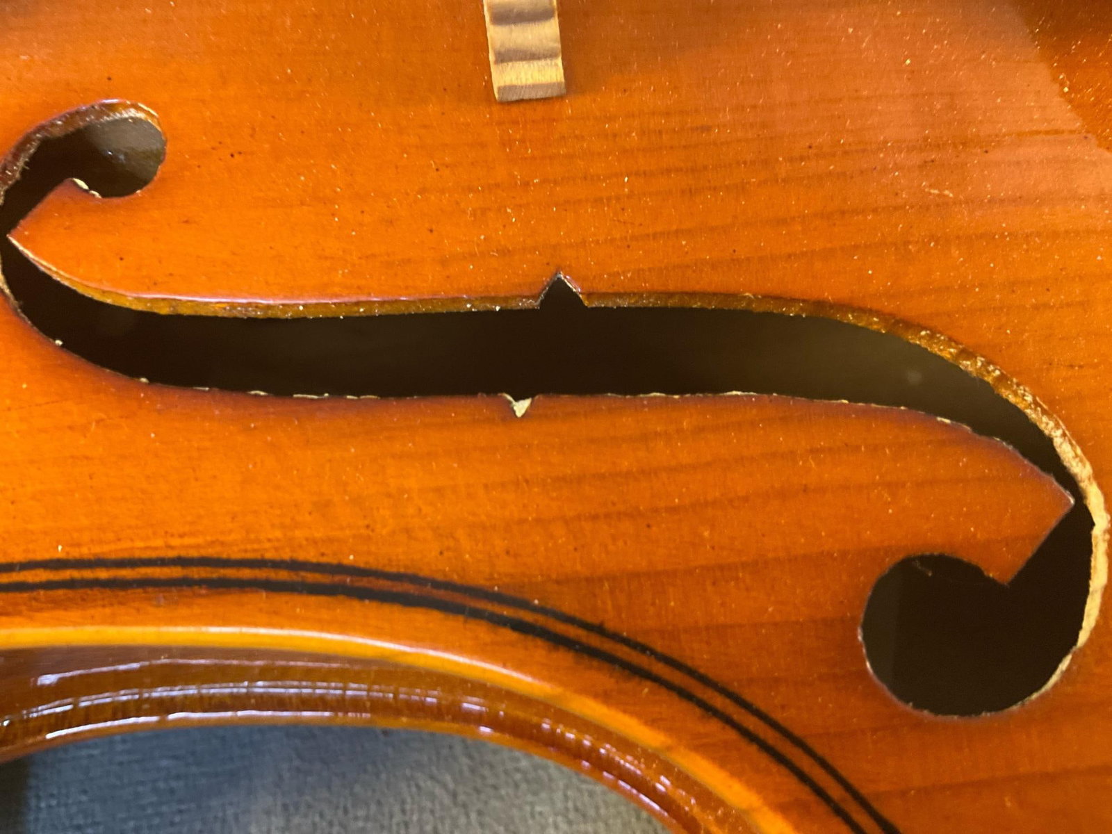 Violin - 5
