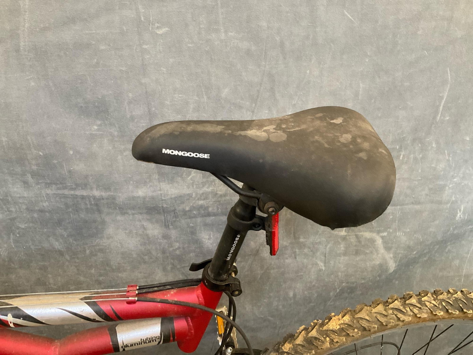 Mongoose Bike - 2