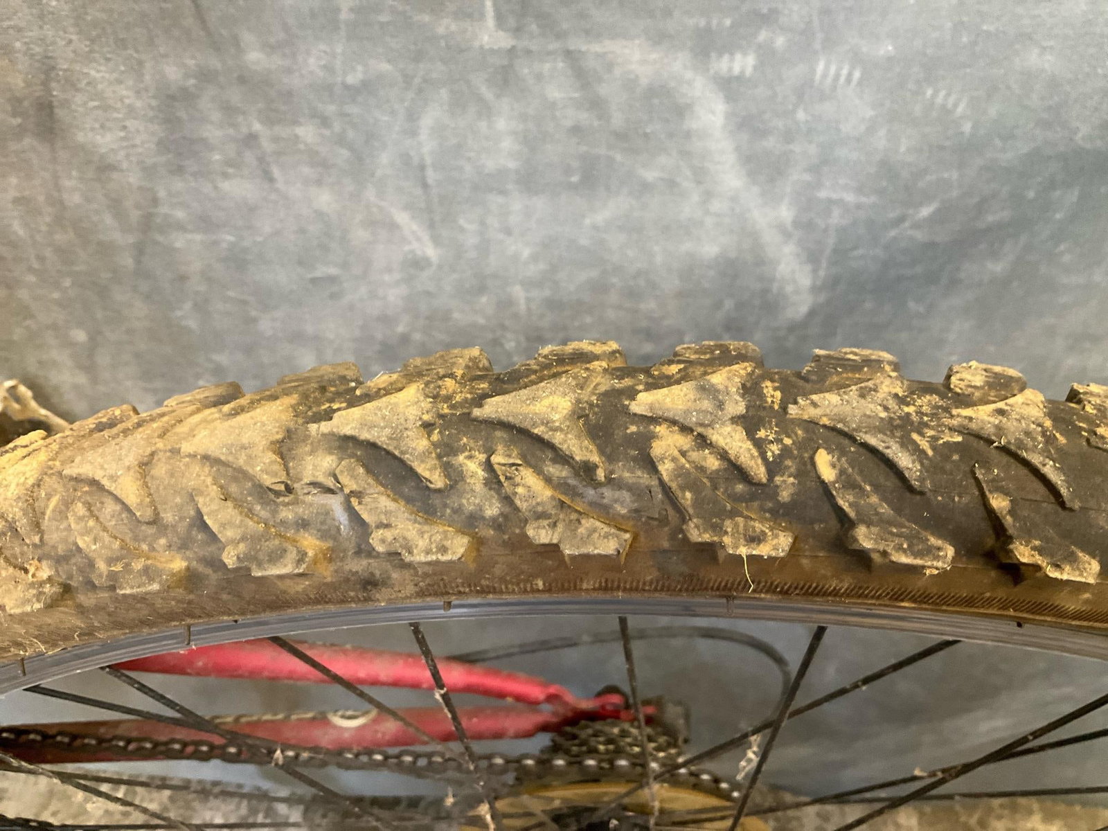 Mongoose Bike - 8