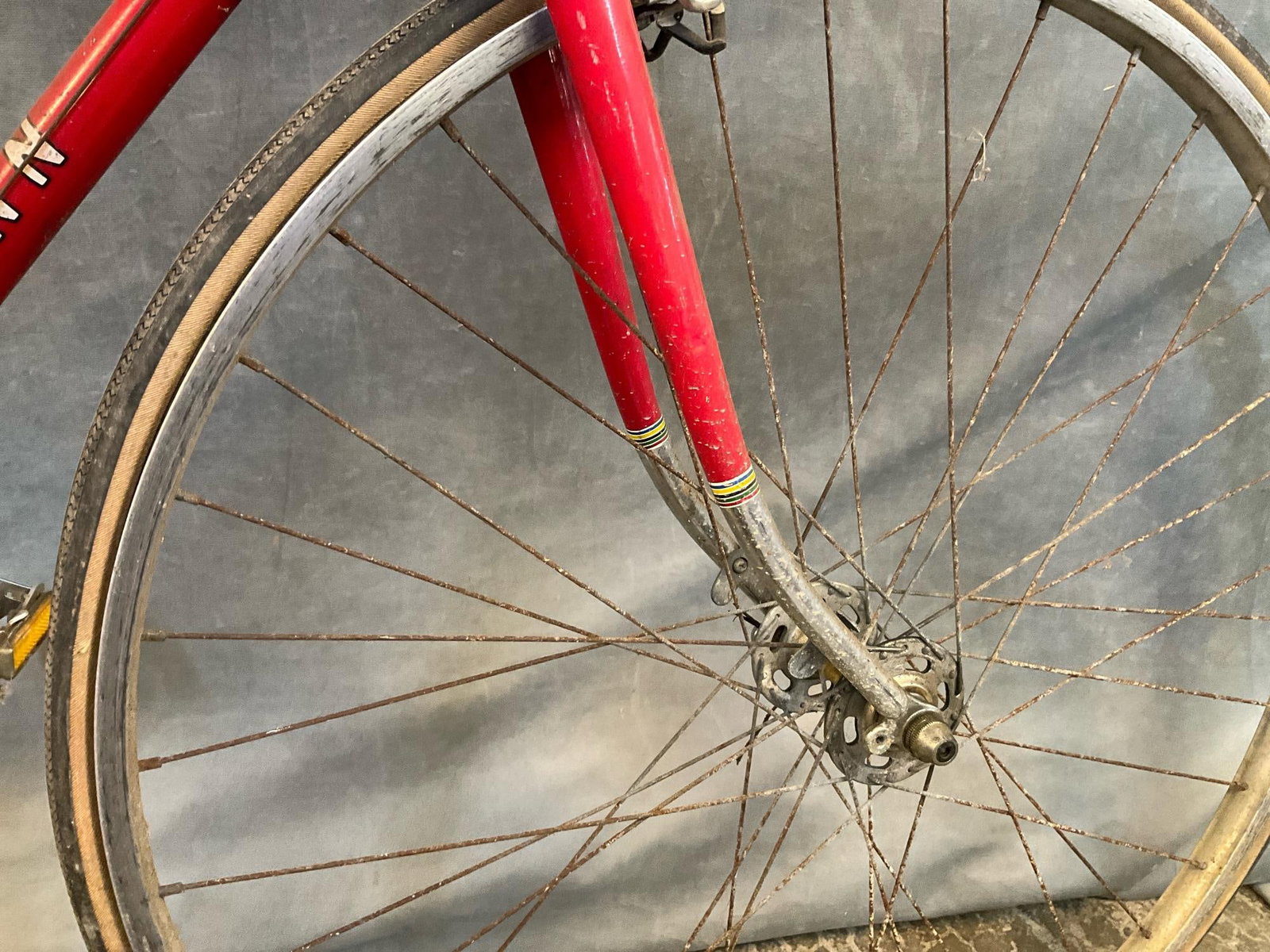 Schwinn Bicycle - 10