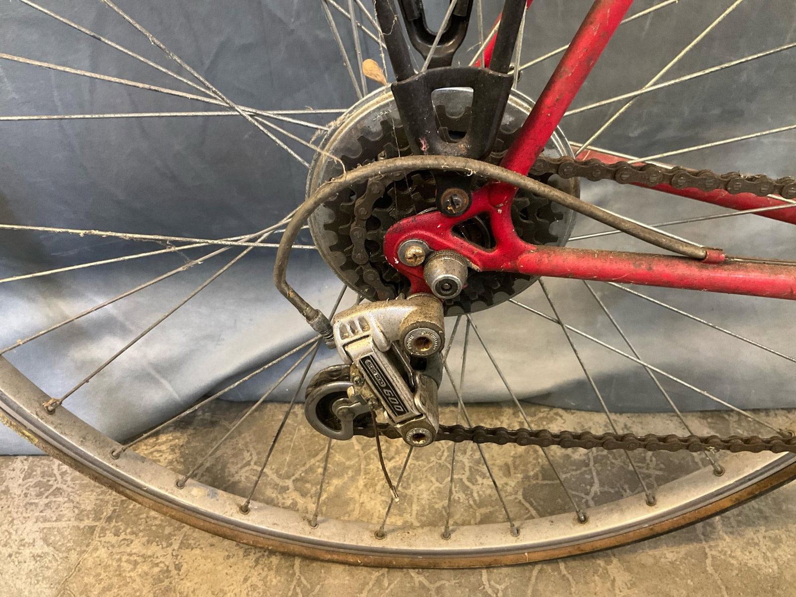 Schwinn Bicycle - 4
