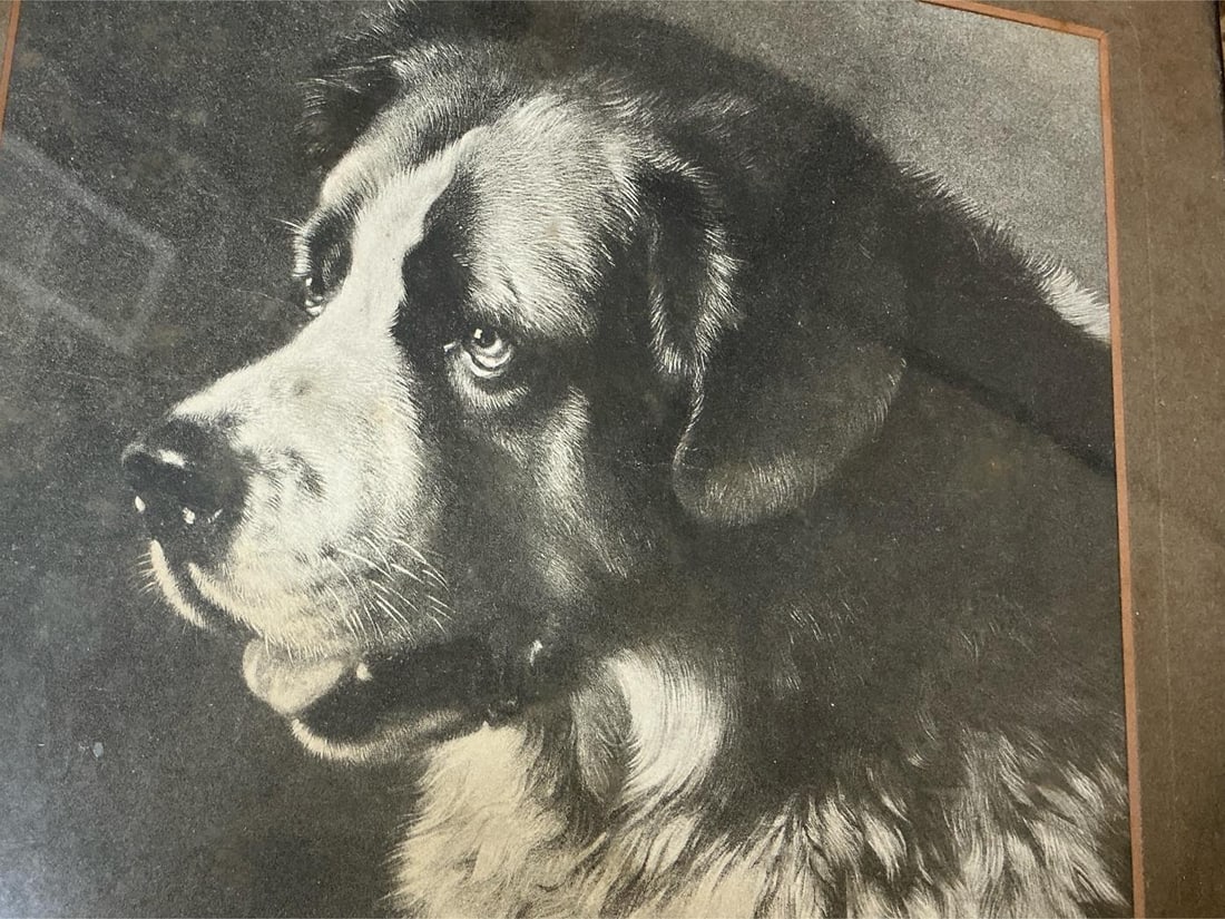 Saint Bernard Print - 3