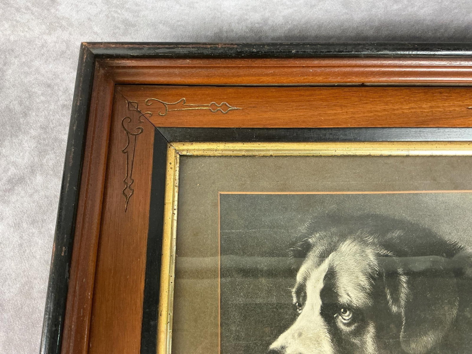 Saint Bernard Print - 4