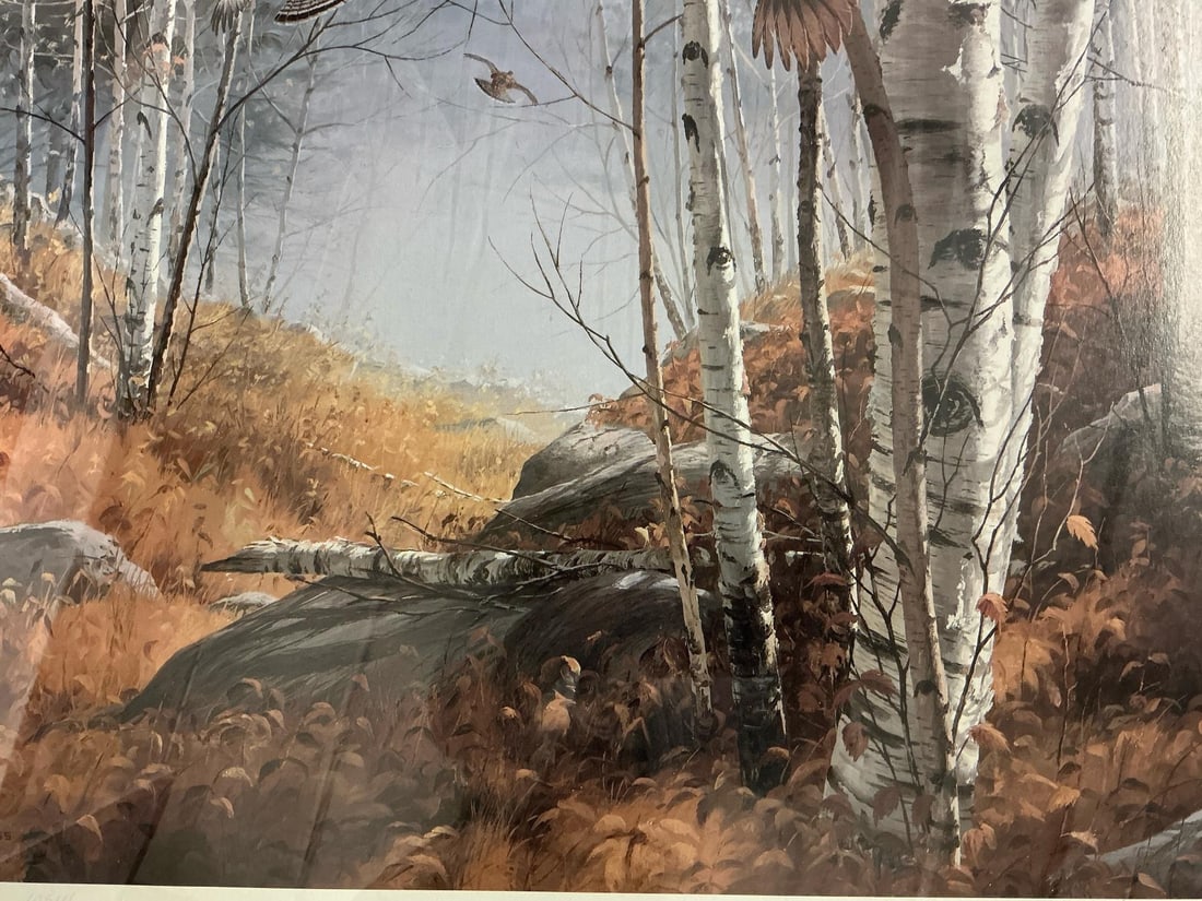 Ruffled Grouse Print - 3