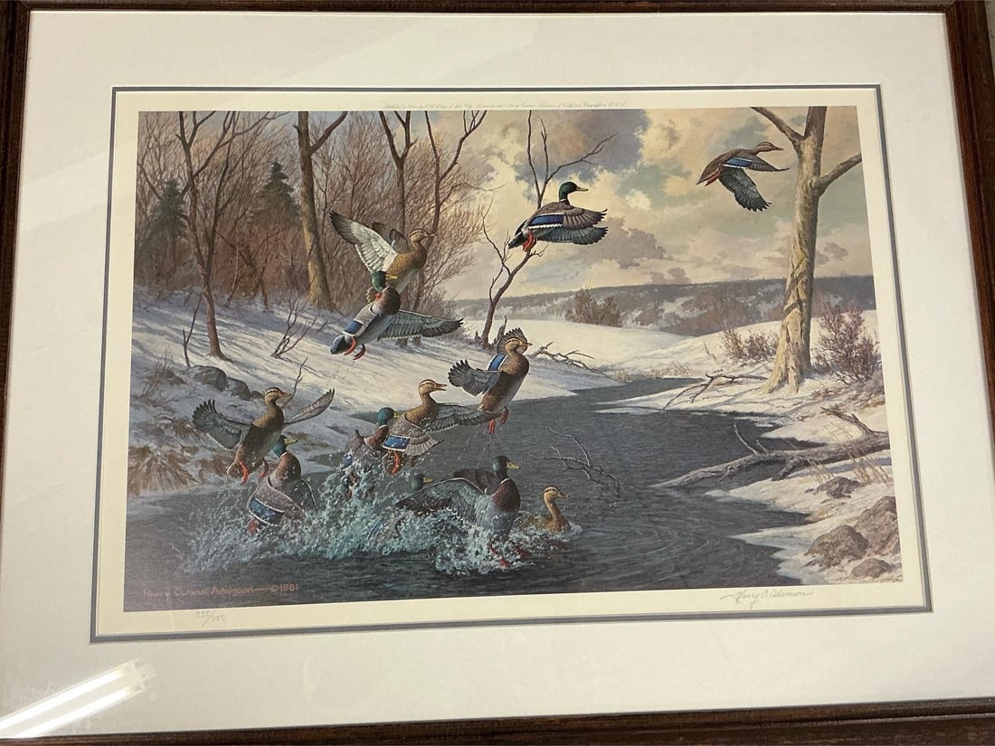 Wild Wings of Lake City, Minnesota: 1981 print of wild ducks in Winter. Titled Wild Wings of Lake City, Minnesota by Harry Curieux Adamson, signed, matted and framed. In good condition. Numbered 335/950. Measures 35.5 inches wide x 1 x 