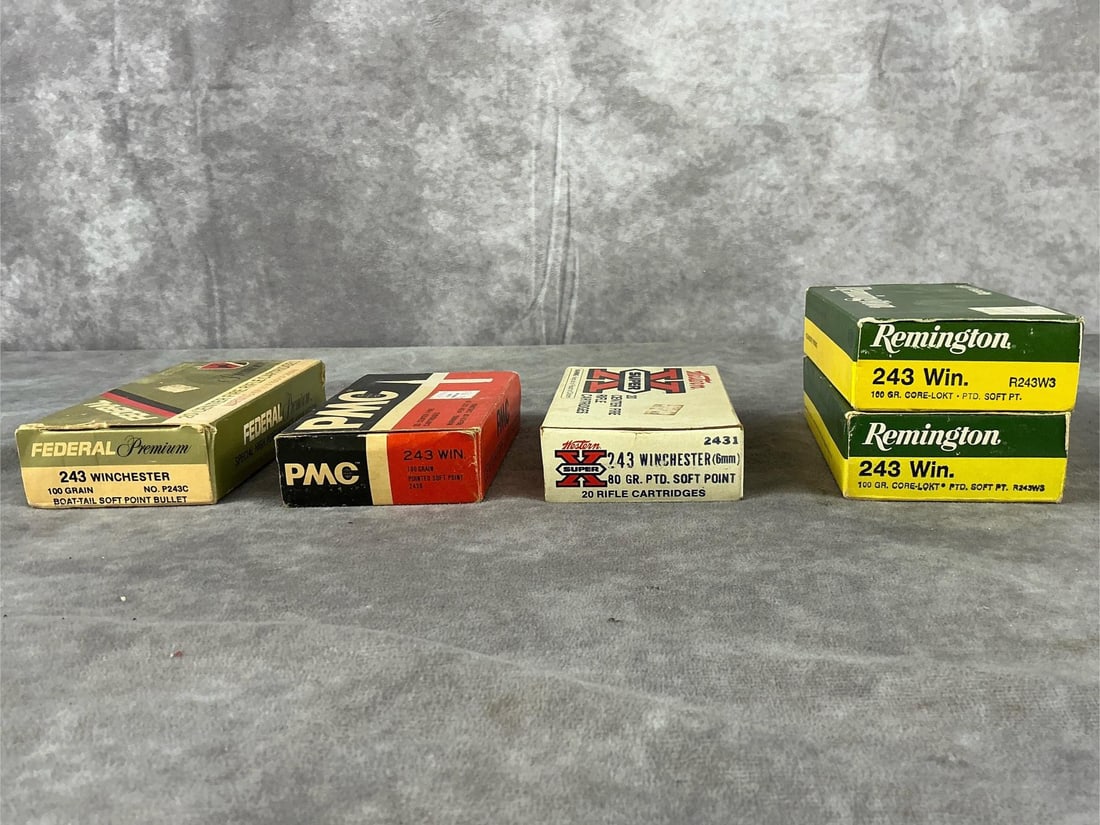 Federal PMC Western Remington .243 Ammunition: 99 total .243 Winchester centerfire rifle ammunition by Federal, PMC, Western, and Remington in brass. In good condition. Lot measures 6 inches long X 3 1/2 inches wide X 6 inches high.