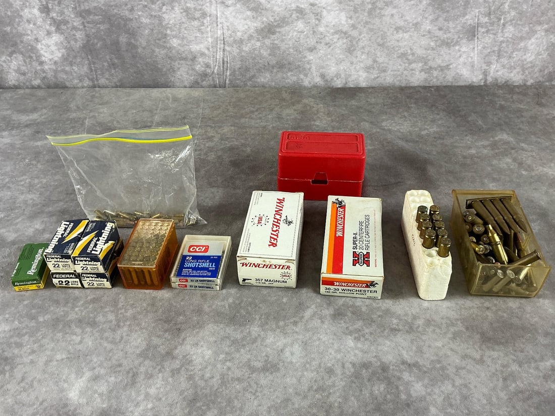 Mixed Brand Assorted Ammunition Lot - 2