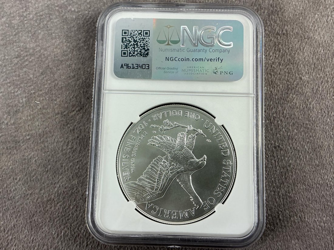 2025 Silver Eagle - 3