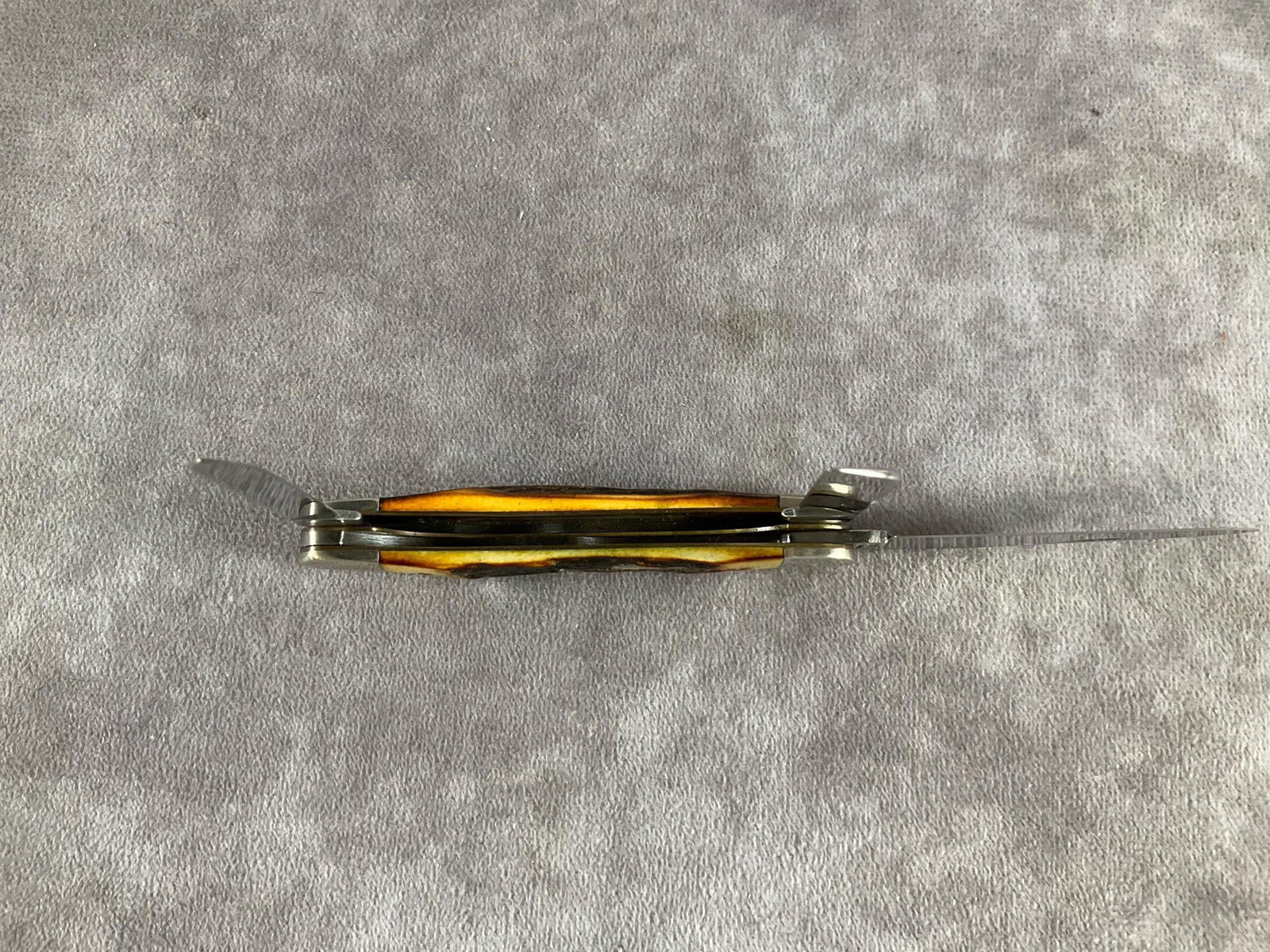 Amber Jigged Bone Knife - 6