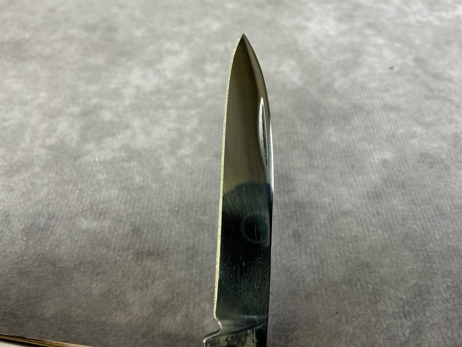 Prime Stag Knife - 5