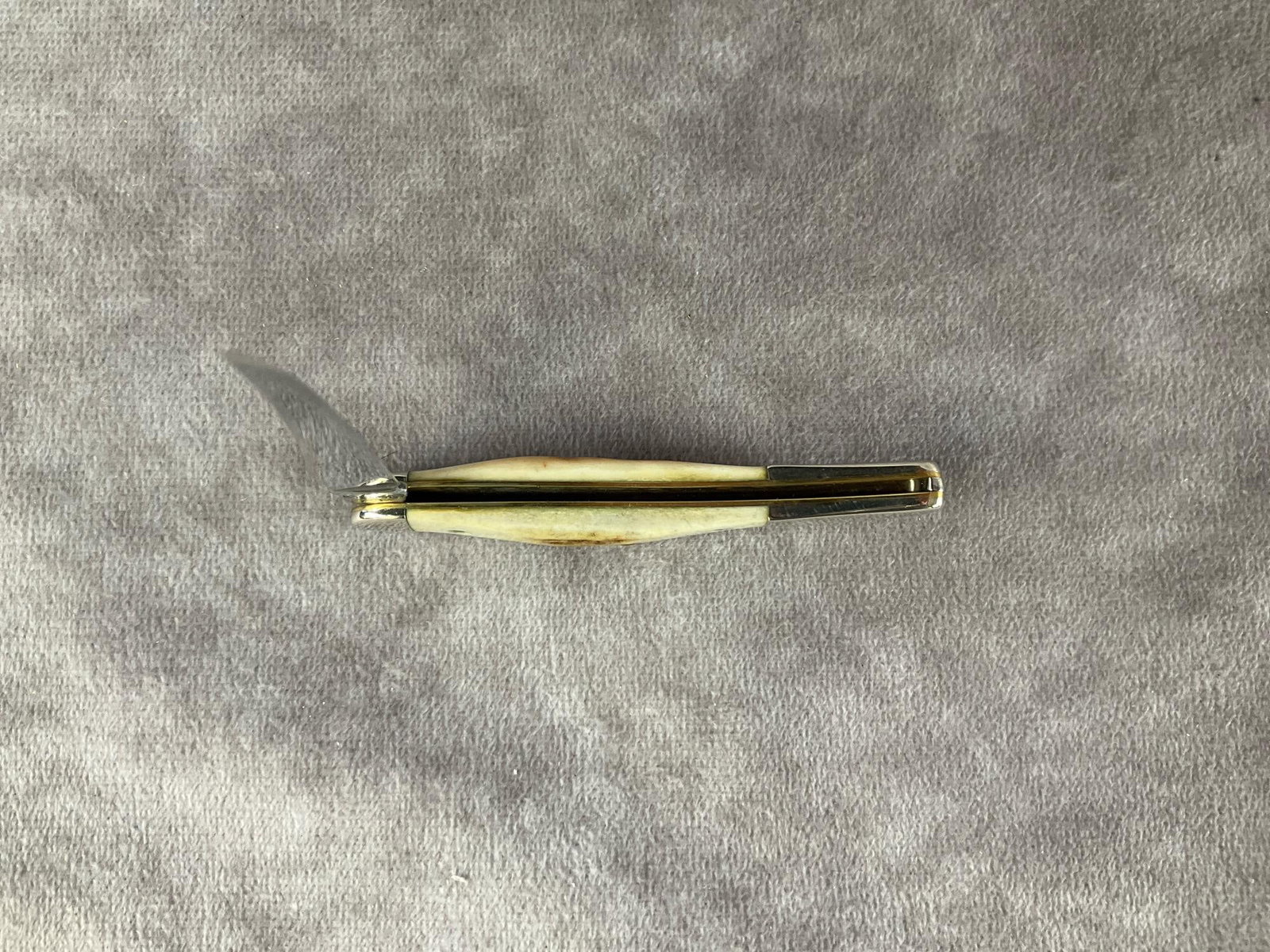 Genuine Stag Knife - 5