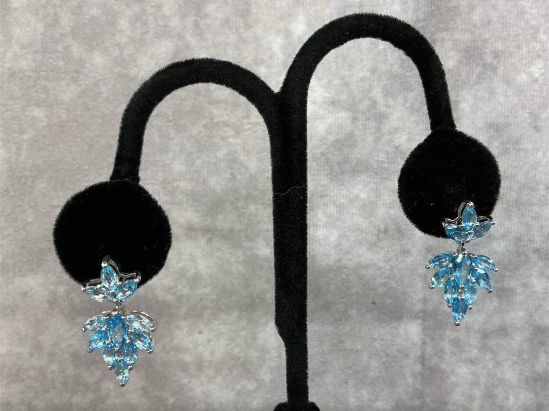 Sterling Silver Earrings - 10