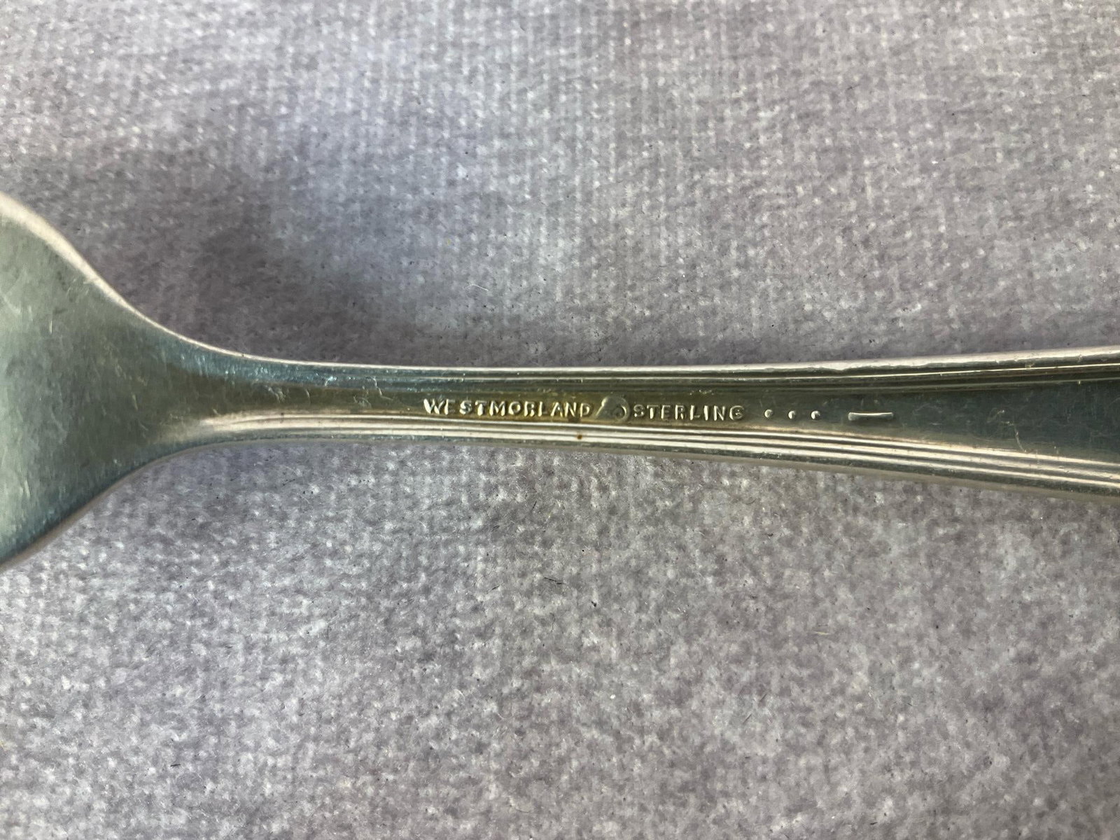 Westmoreland Dinner Forks - 5