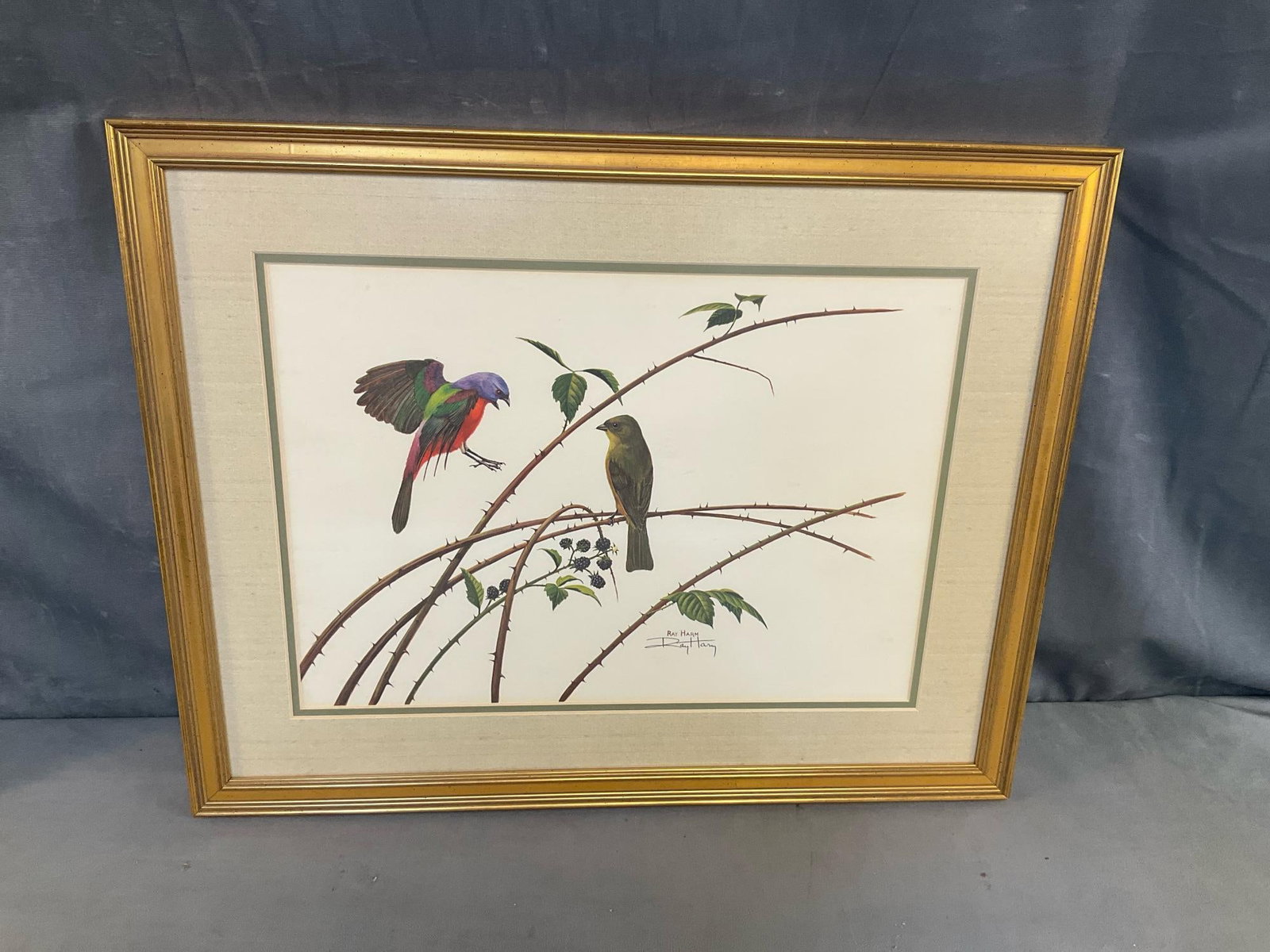 Ornithological Prints - 2