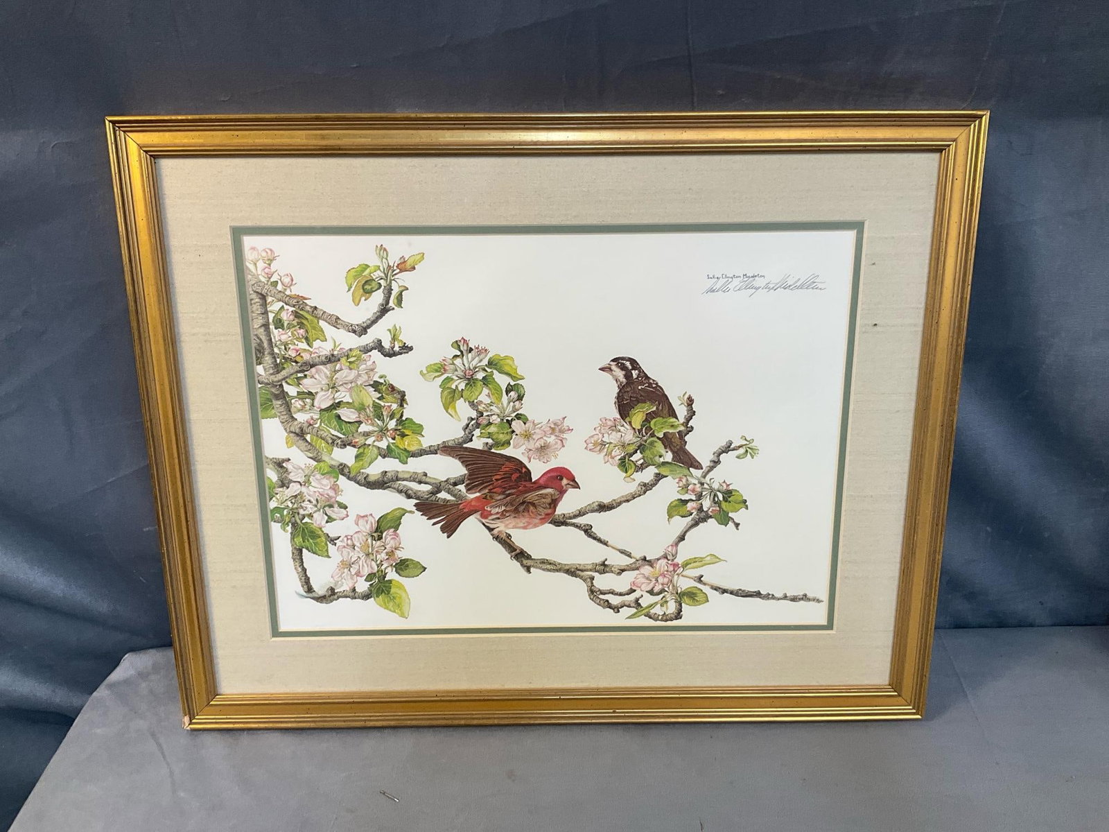 Ornithological Prints - 4