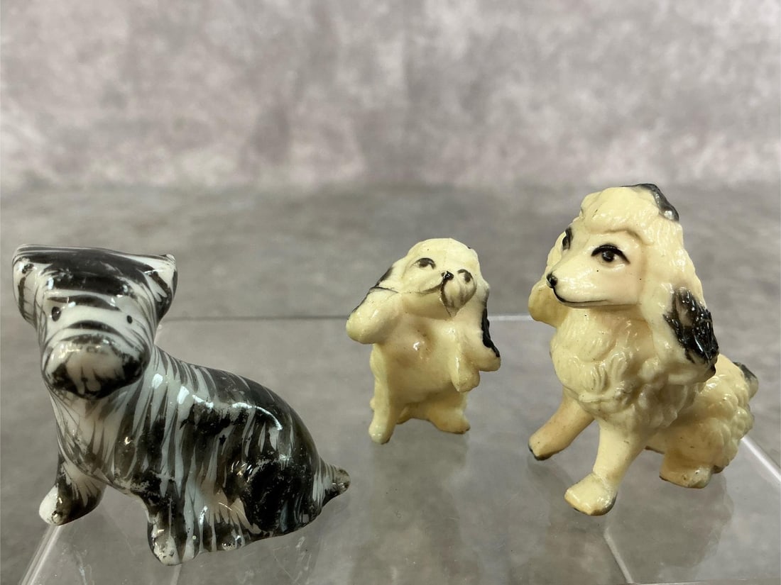 Miniature Dogs - 7
