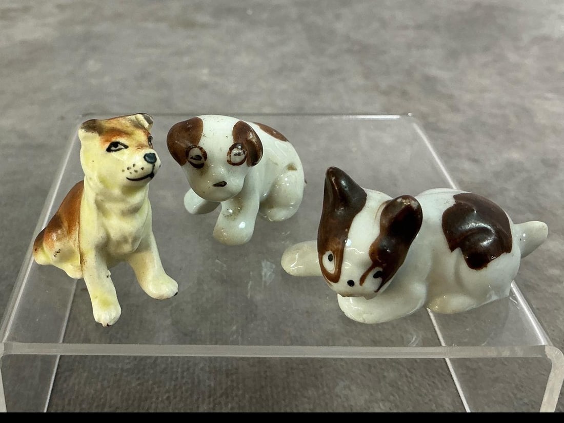 Miniature Dogs - 9