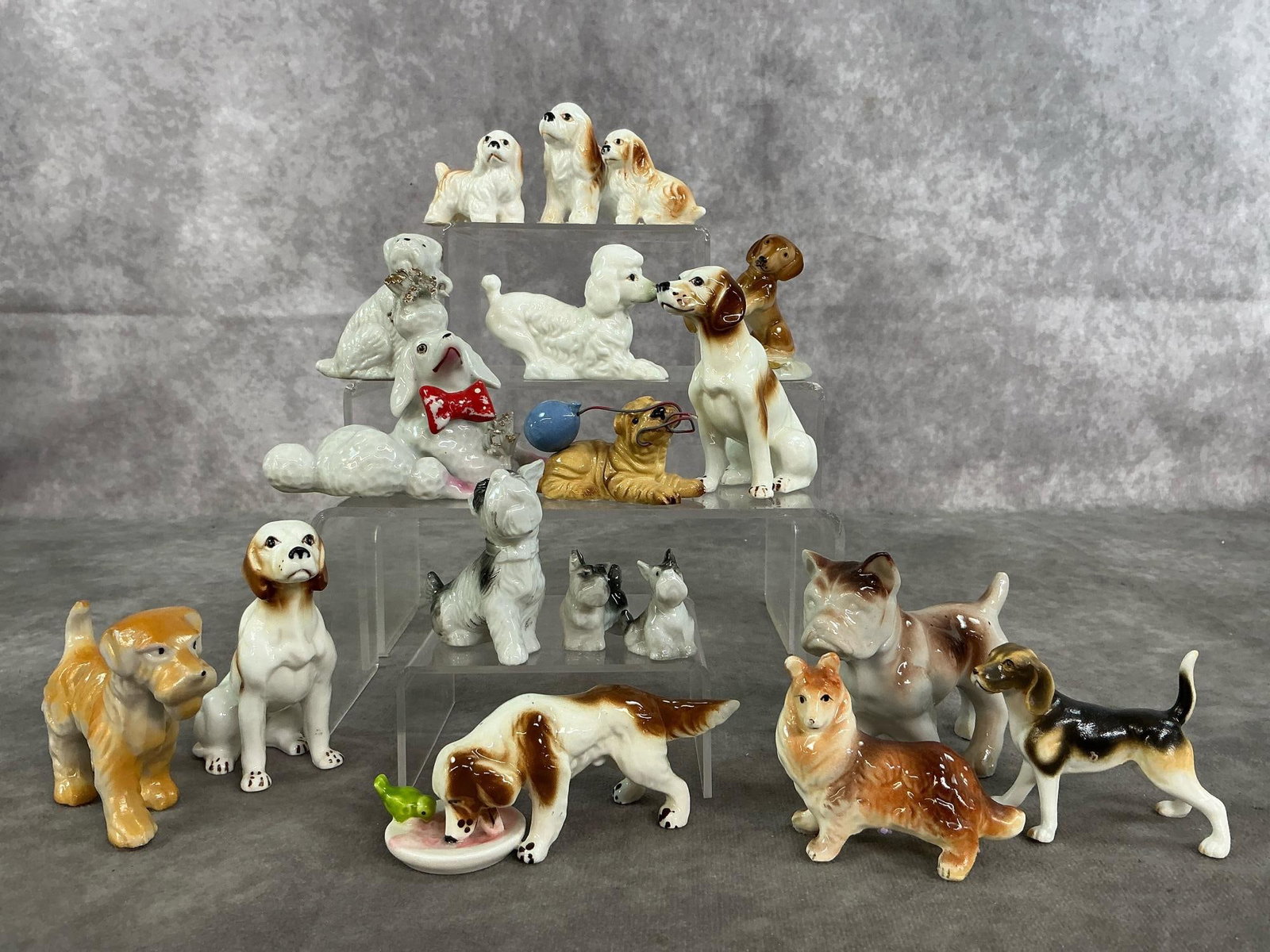 Vintage Dog Collection: Eighteen miniature dogs from mid to late 1900's. Includes bone China and ceramic. Breeds include Cocker Spaniel, Schnauzer, poodles, terriers, and more. Slight paint loss on poodle with red bow,