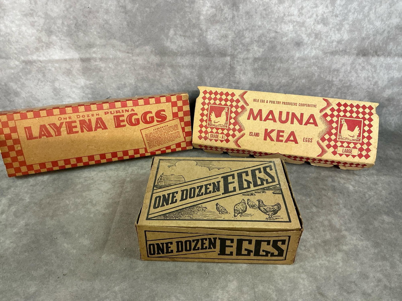 Wire Egg Basket & Cartons - 4