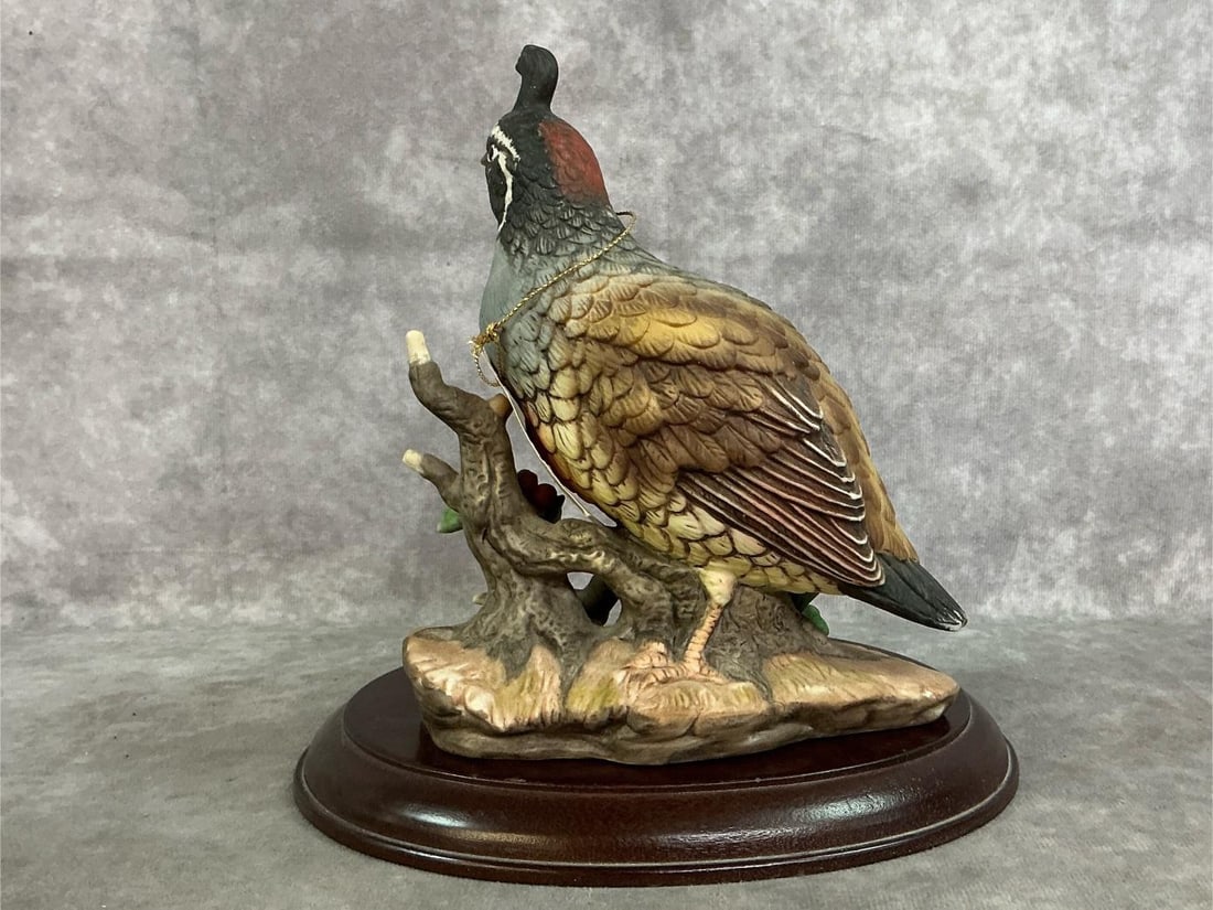Homeco Birds - 7