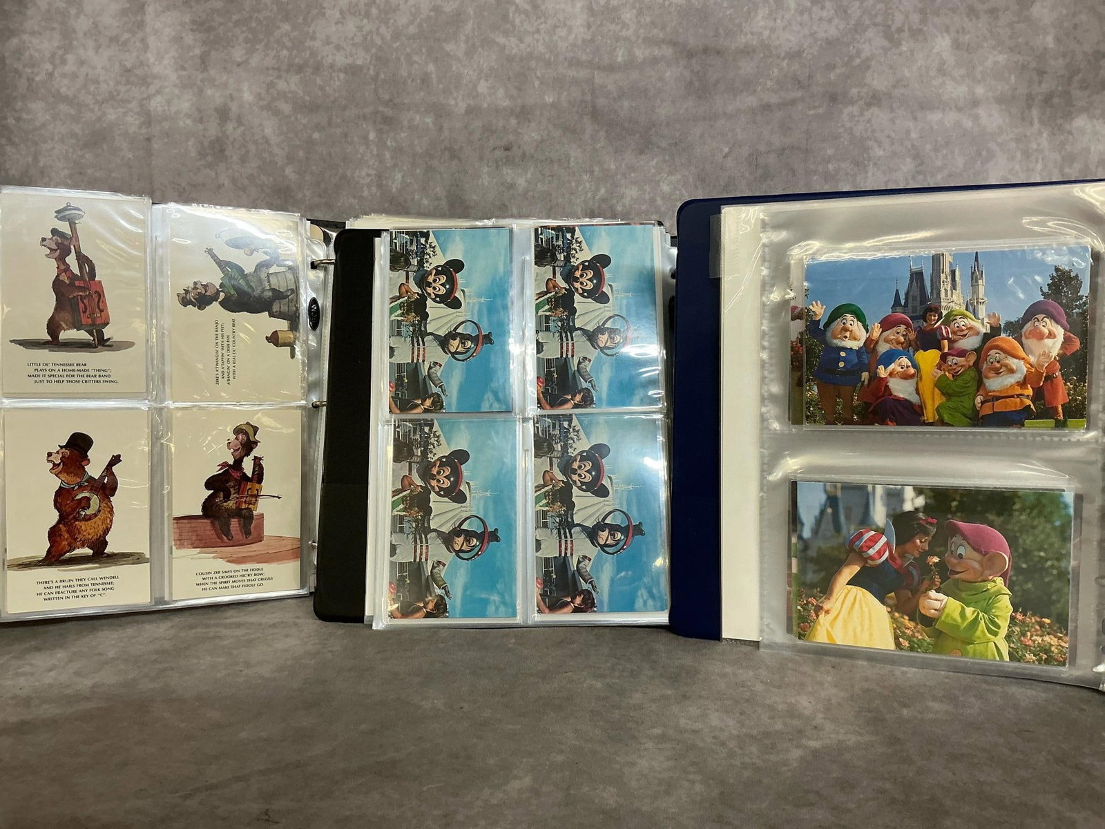 Disney Collectible Post Cards: Approximately 170 new and used Disney World post cards. Includes 3.5" x 5.5" cards, 6" x 4" cards, and 6.75" x 5.5 inch cards. Disney world attractions and Disney characters combined in 3 binders.