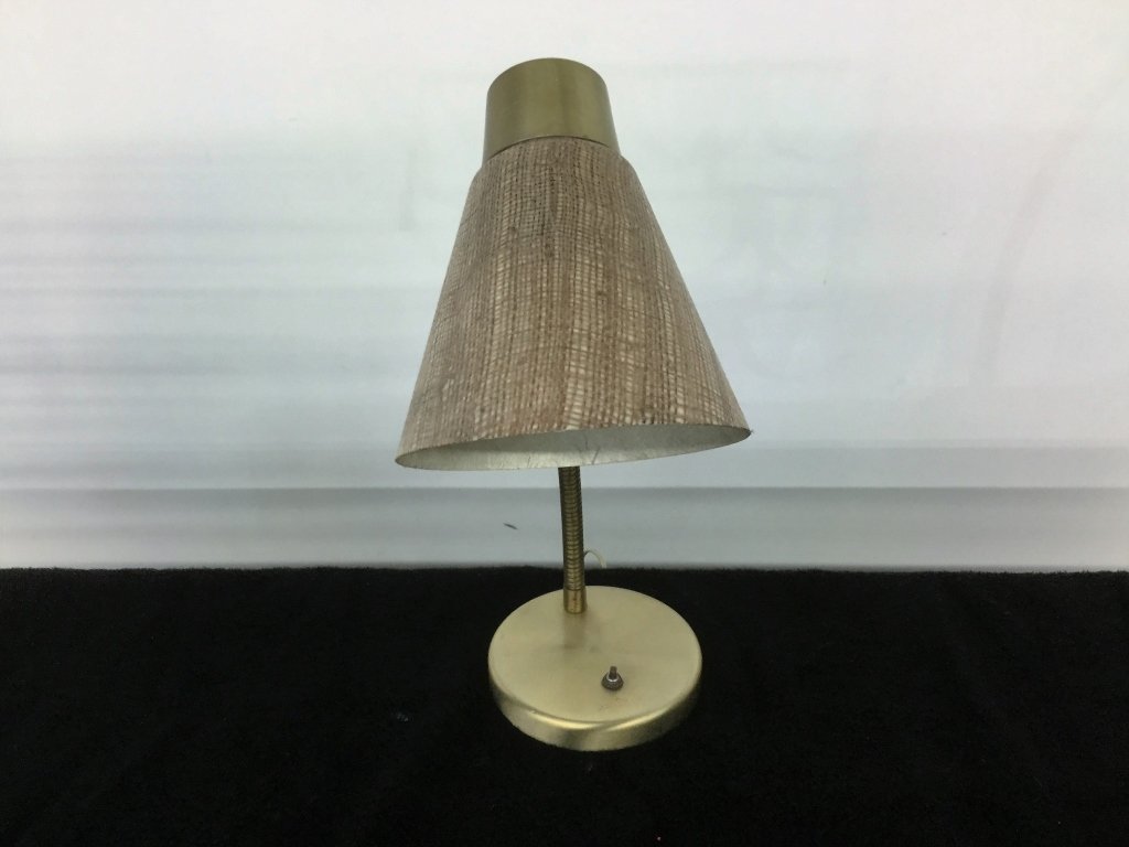 Vintage Goose Neck Lamp (1 of 2)