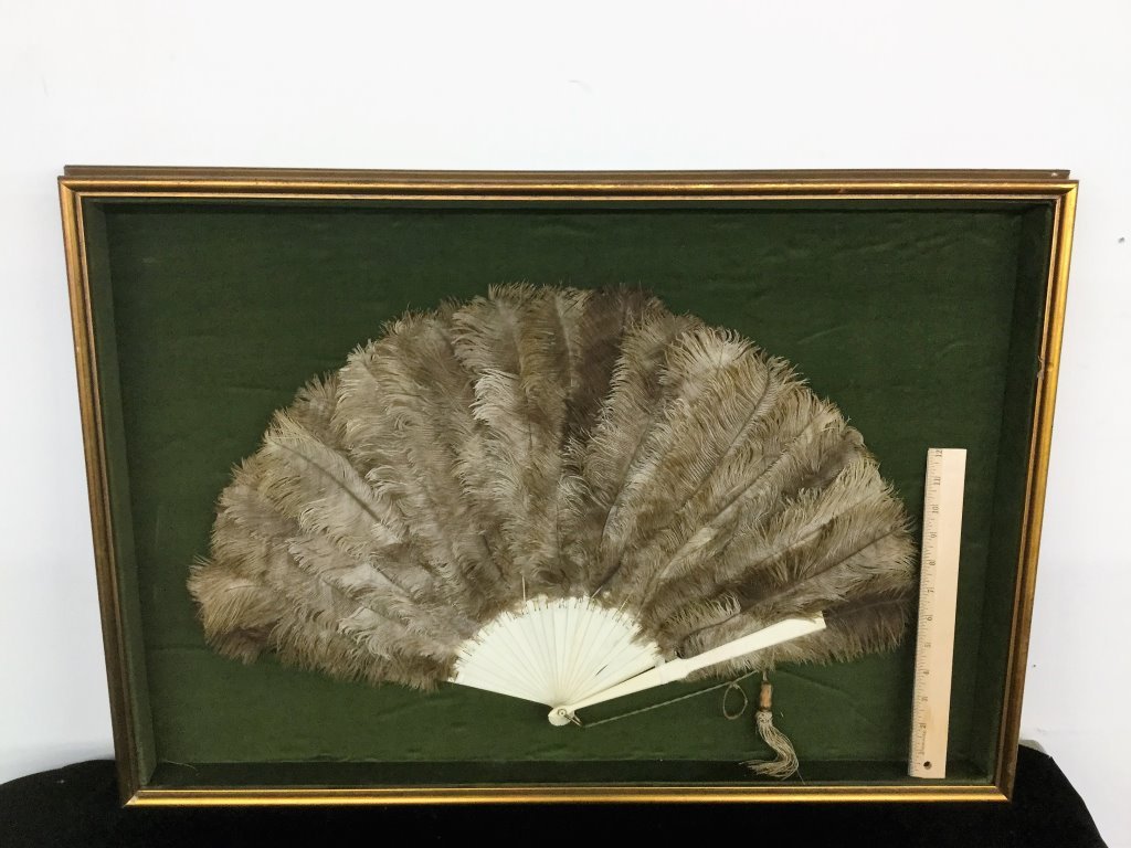 VICTORIAN FAN: SHADOW BOX FRAME NO GLASS WIDTH 32" HEIGHT 23"
