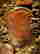 item-127045916=2