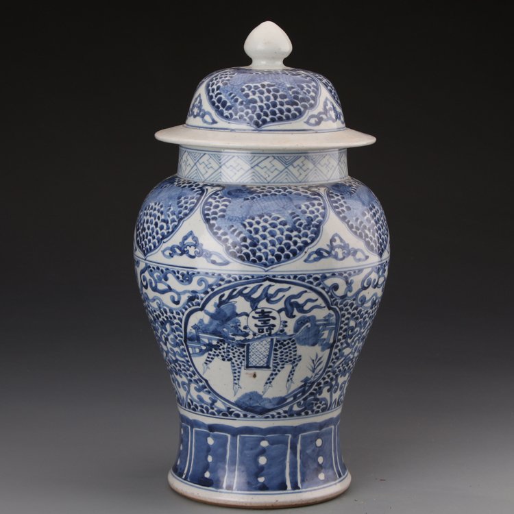 Chinese Blue & White Porcelain Ginger Jar: Chinese Blue & White Porcelain Ginger Jar,H:39cm