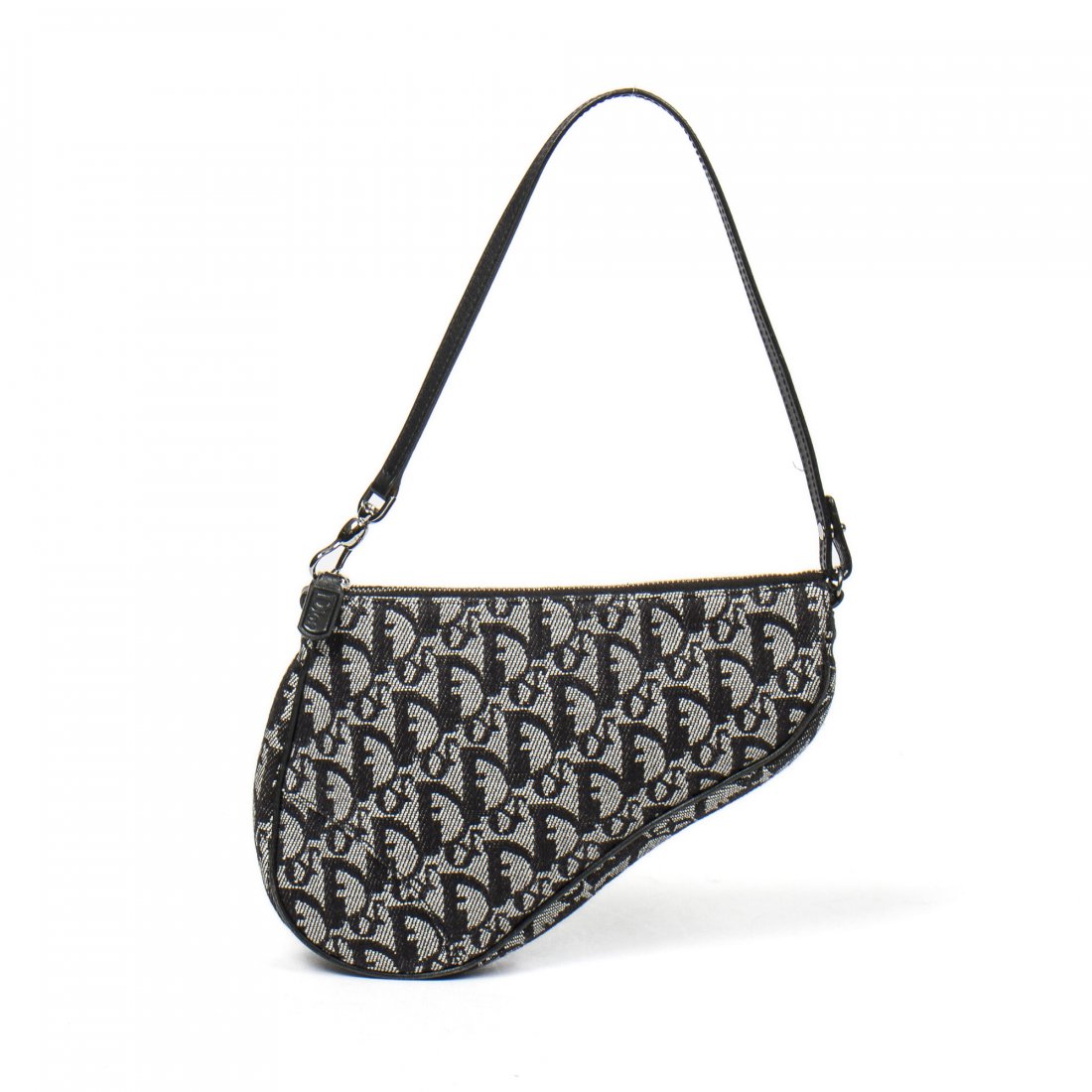 Dior Saddle Pouch (1 of 8)