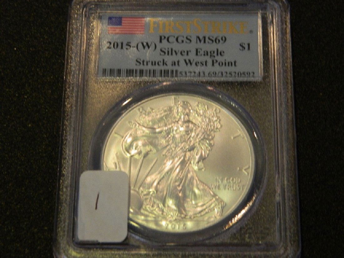2015 Silver Eagle (1 of 1)