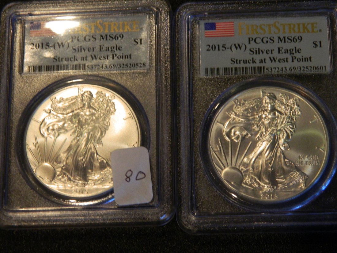 Silver Eagles (1 of 1)