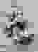 item-53041830=2