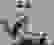 item-53041830=5