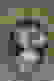 item-53041914=2