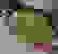 item-53041927=5