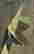 item-56052652=2