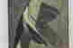 item-56052652=3