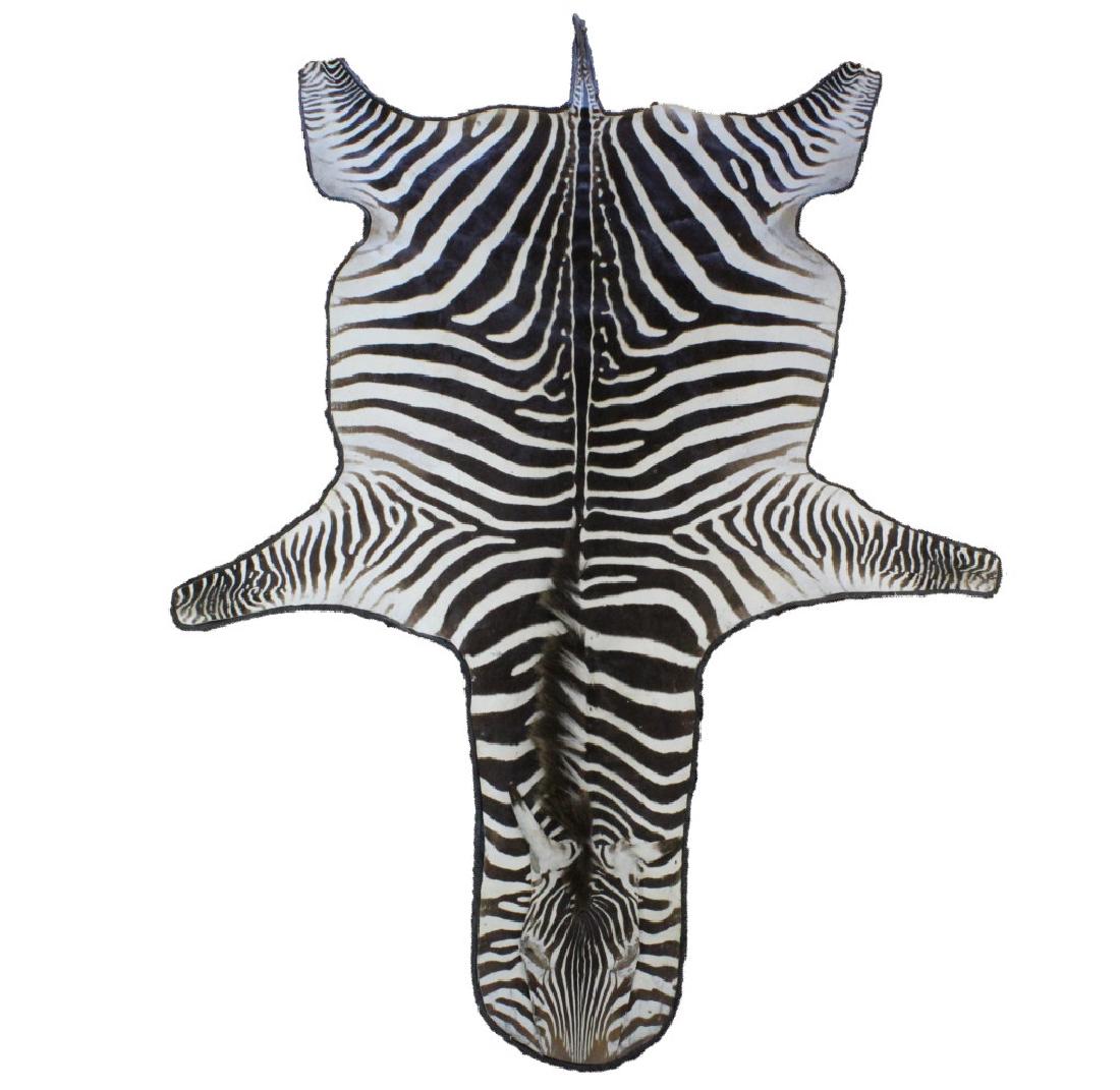 Vintage Leather Trimmed Zebra Hide Skin Rug (1 of 5)