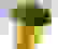 item-59116961=4