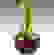 item-59116961=5