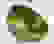 item-59116962=2